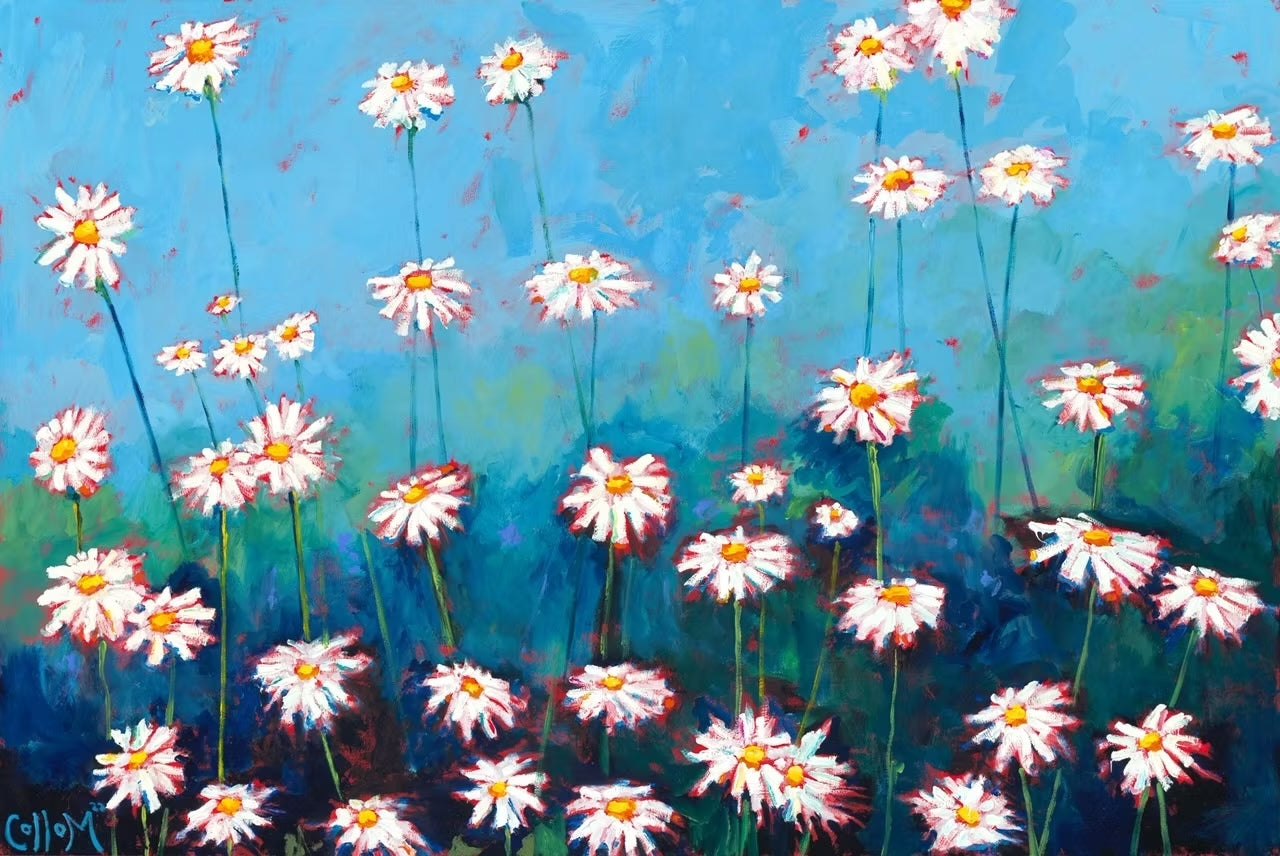 Daisy Field