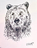 Tahoe Bear