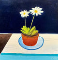 Navy Daisies
