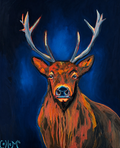 Stag