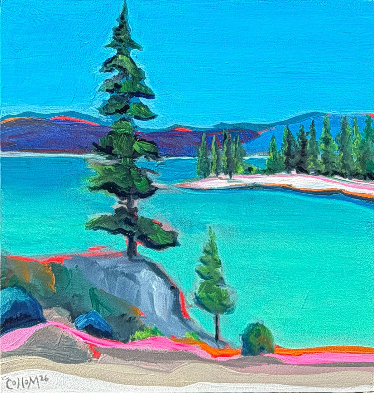Tahoe Pine