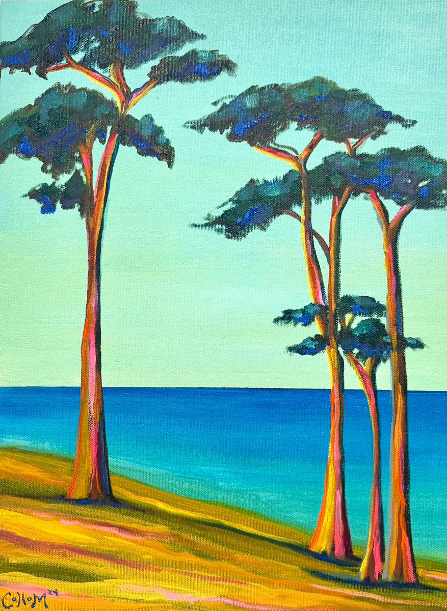 Carmel Cypress