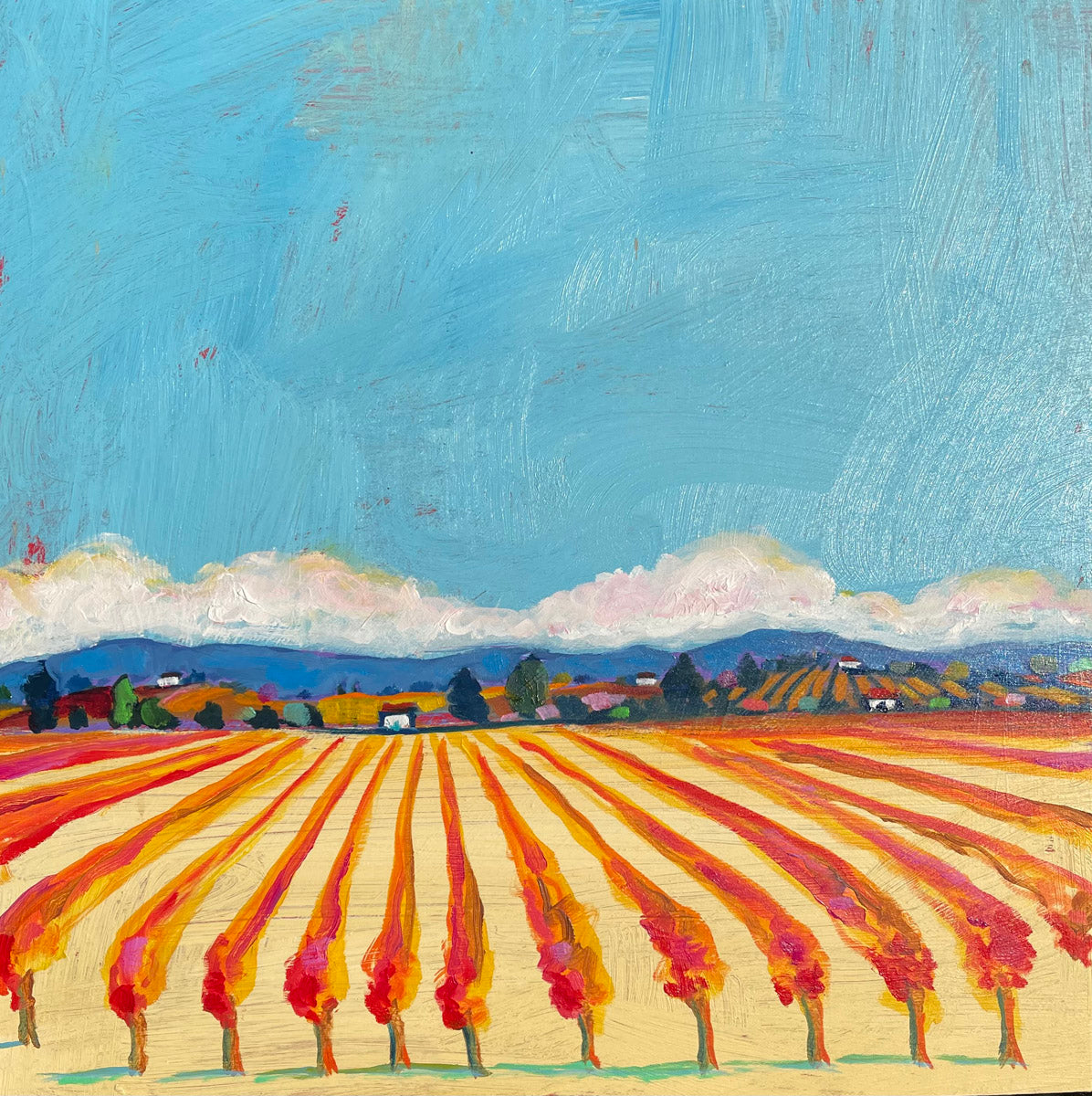 Fall Vineyard
