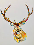 Elk