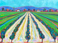 Napa Valley