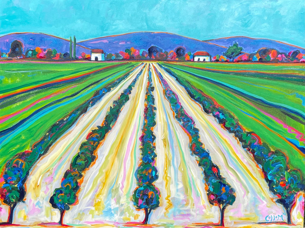 Napa Valley
