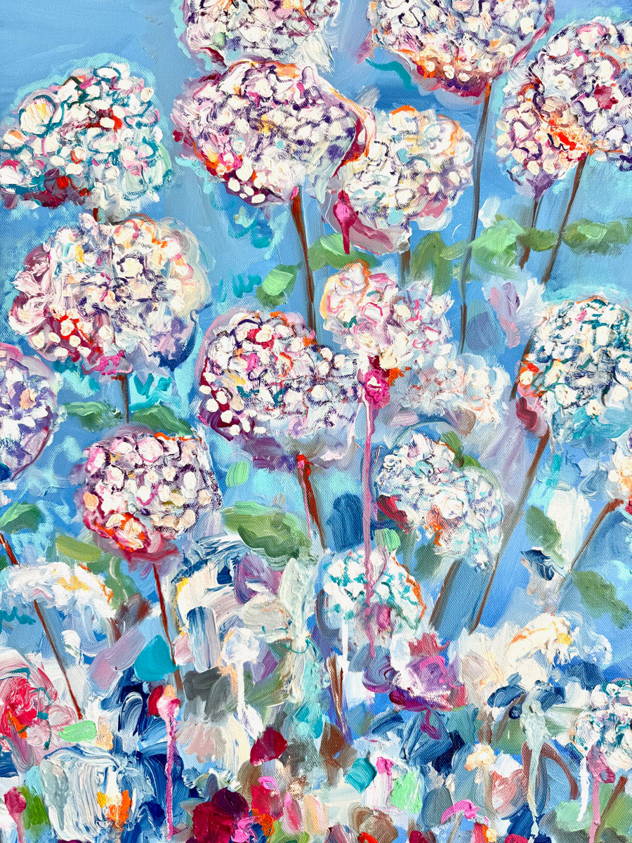 Hydrangeas