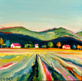 Napa