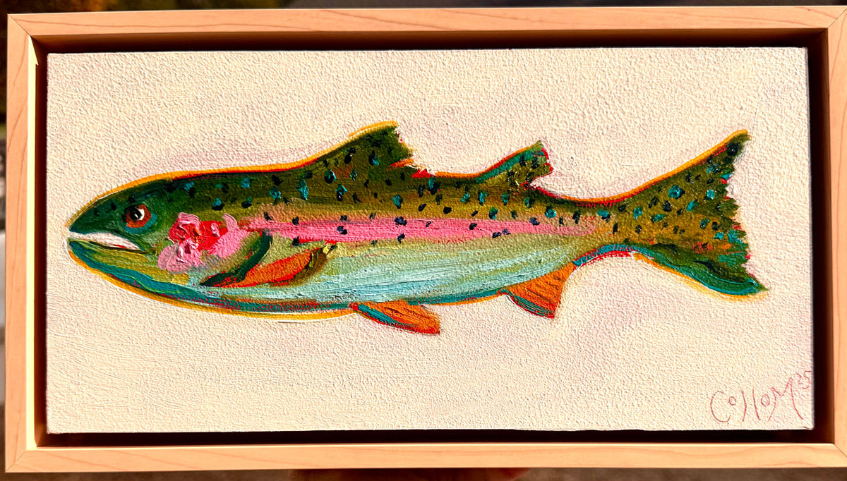 Rainbow trout