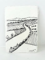 Sacramento River Field Sketch