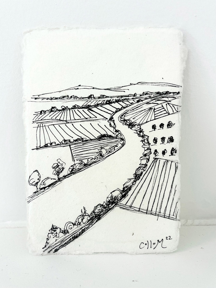 Sacramento River Field Sketch