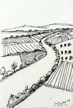 Sacramento River Field Sketch