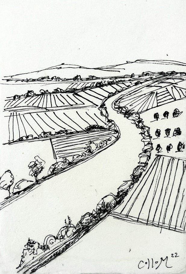 Sacramento River Field Sketch