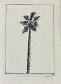 Single Palm Field Sketch