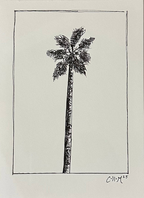 Single Palm Field Sketch