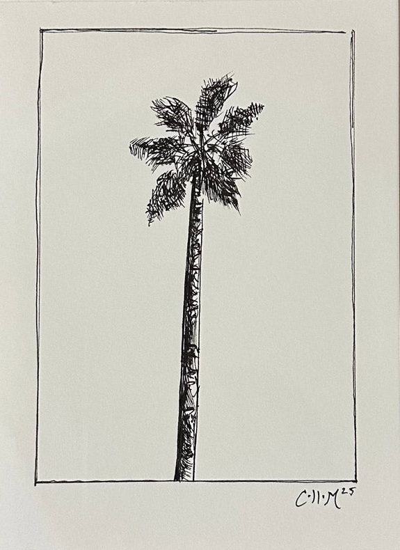 Single Palm Field Sketch