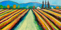 Valley Vineyard